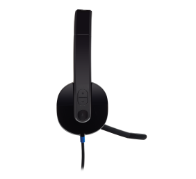 Ausinės Logitech H540 USB (981-000480), juodos