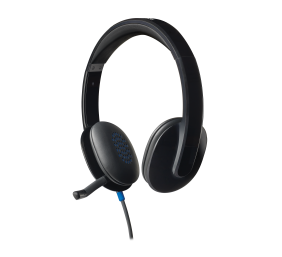 Ausinės Logitech H540 USB (981-000480), juodos