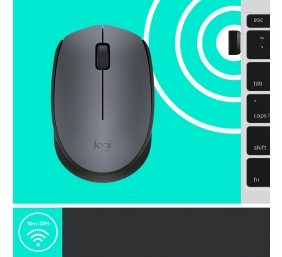 Pelė belaidė Logitech M170 Wireless (910-004642),  pilka