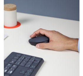 Pelė belaidė Logitech M170 Wireless (910-004642),  pilka