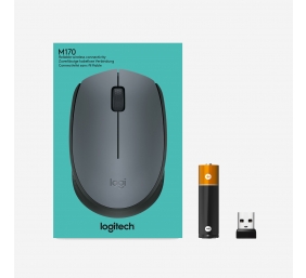 Pelė belaidė Logitech M170 Wireless (910-004642),  pilka