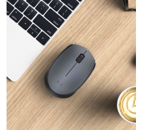 Pelė belaidė Logitech M170 Wireless (910-004642),  pilka