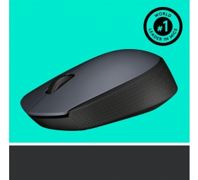 Pelė belaidė Logitech M170 Wireless (910-004642),  pilka