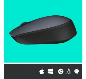 Pelė belaidė Logitech M170 Wireless (910-004642),  pilka